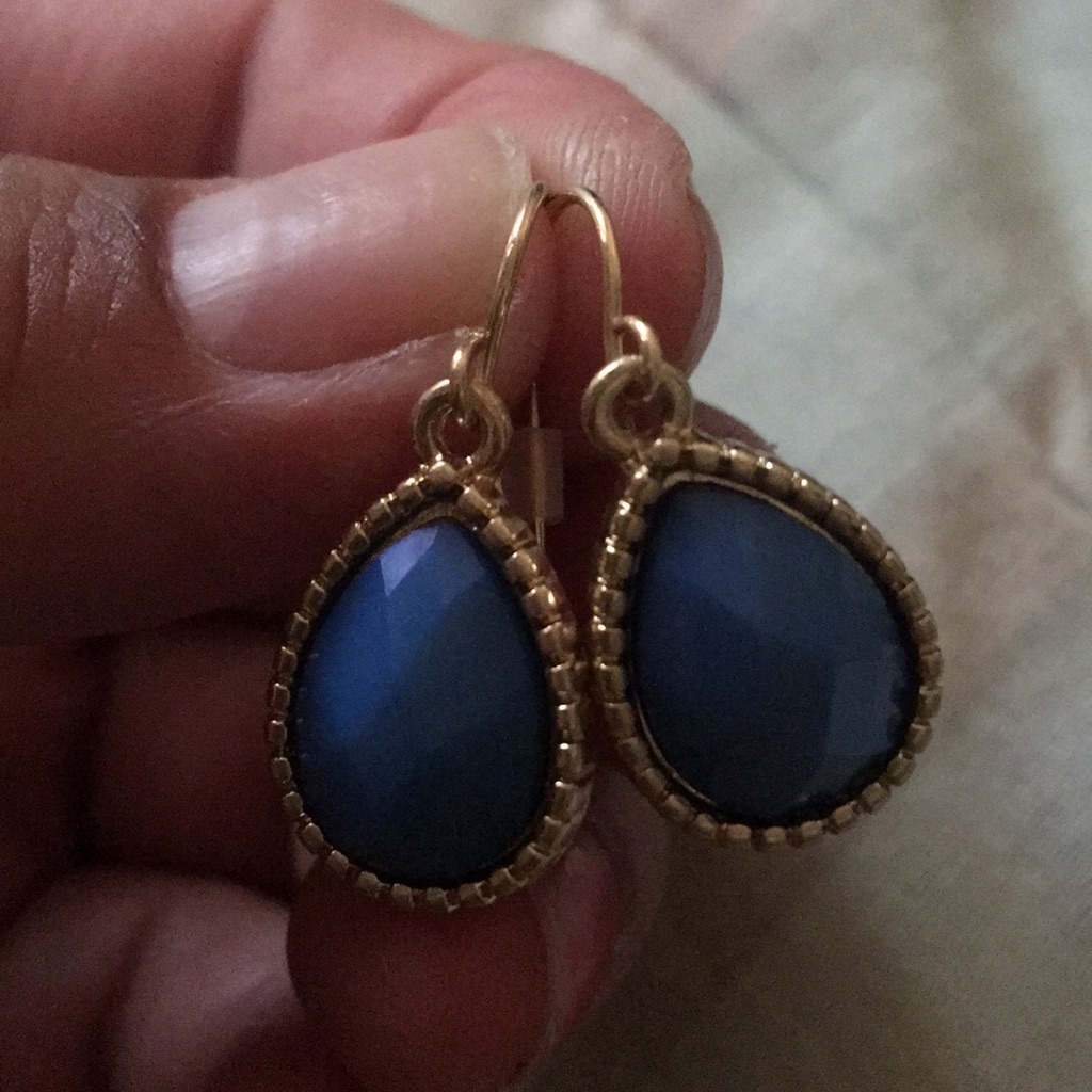 Blue Earrings